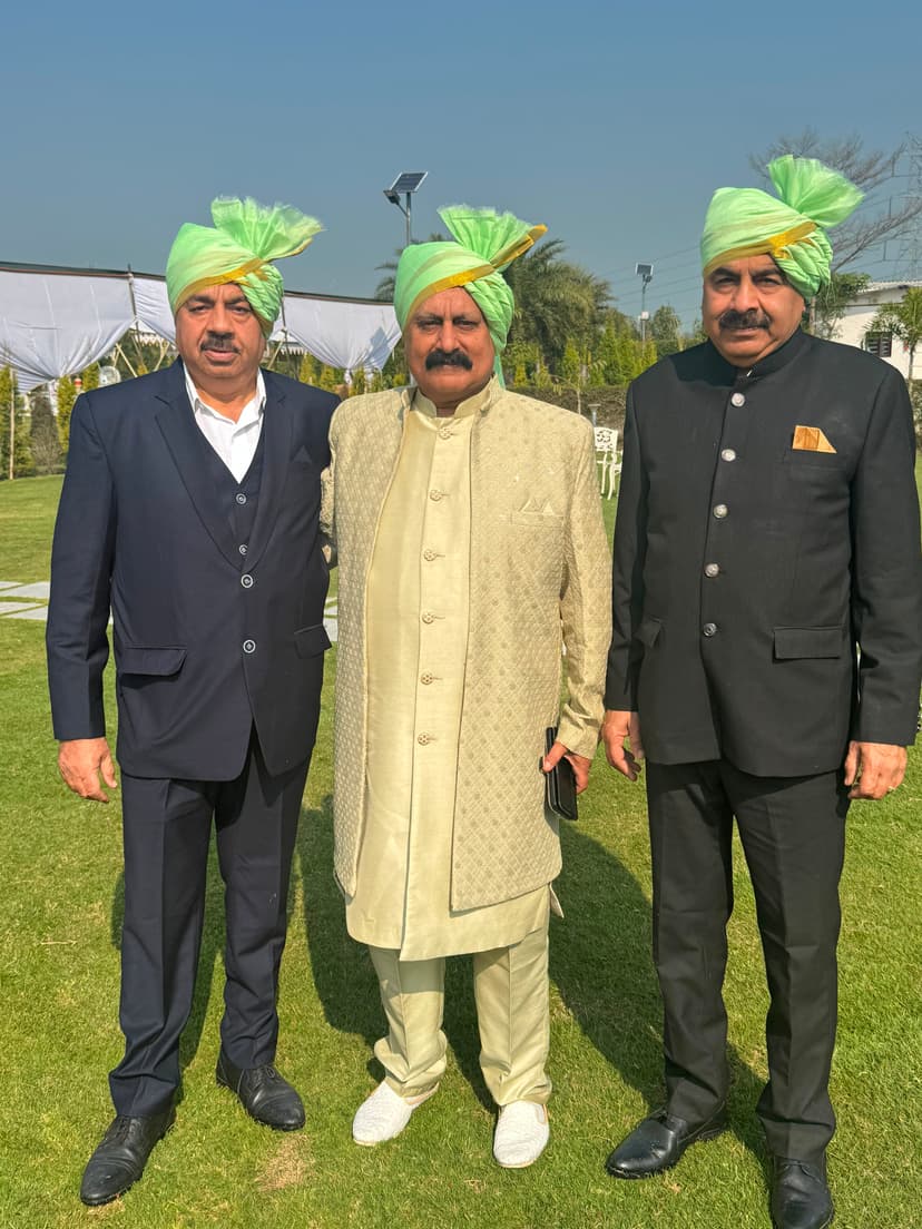 Barati safas collection